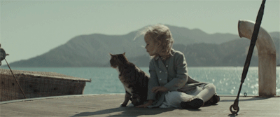 142823vigap3jiiziio9go.gif