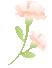 145806a48qvuzr4448iugw.gif