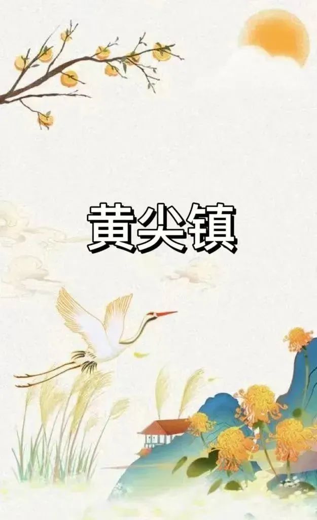112456b0mmvxqiu0wfuuq0.jpg