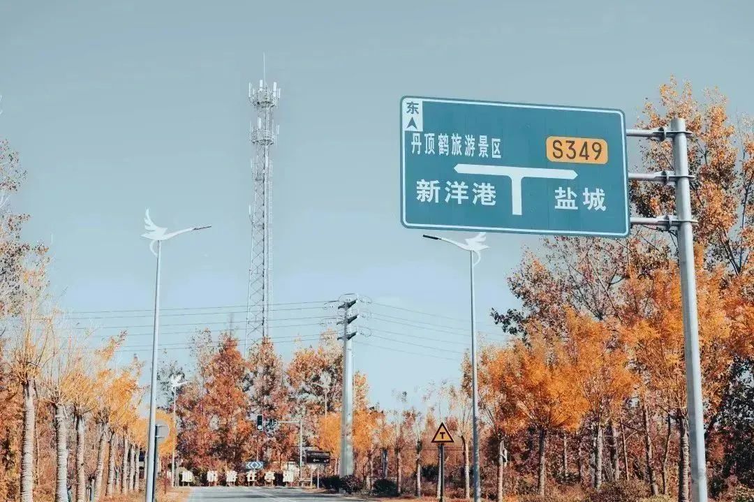 112500bnc5a2epk2dez0n5.jpg