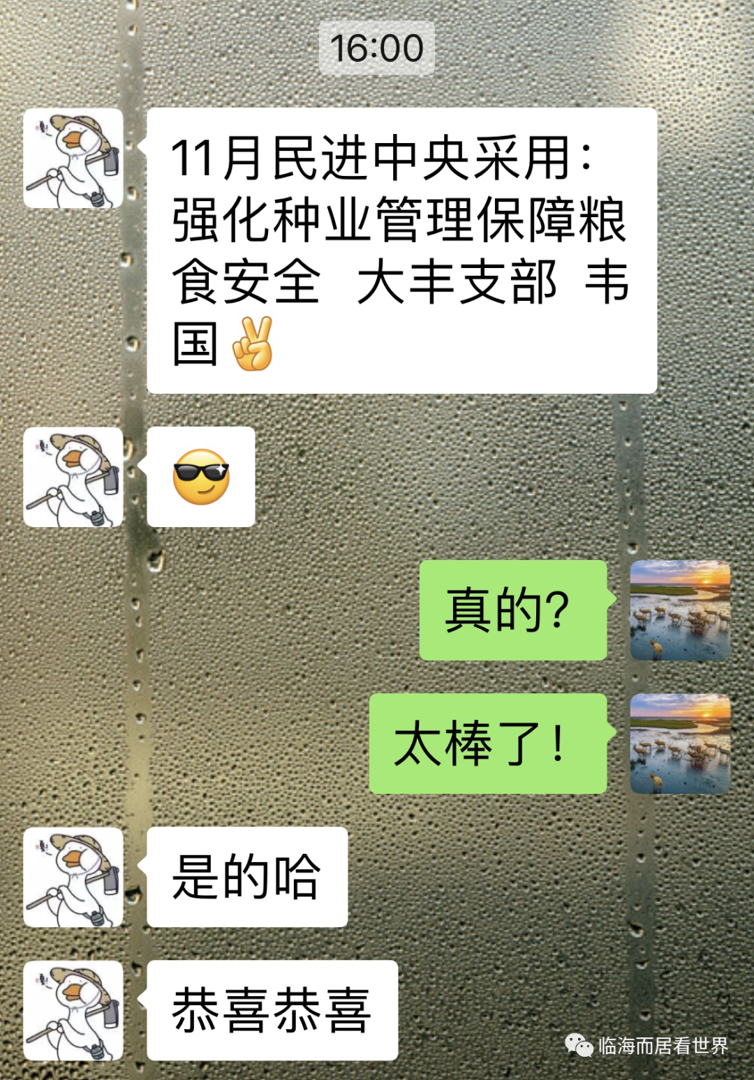 125137zfttd7atok9z2oo7.png