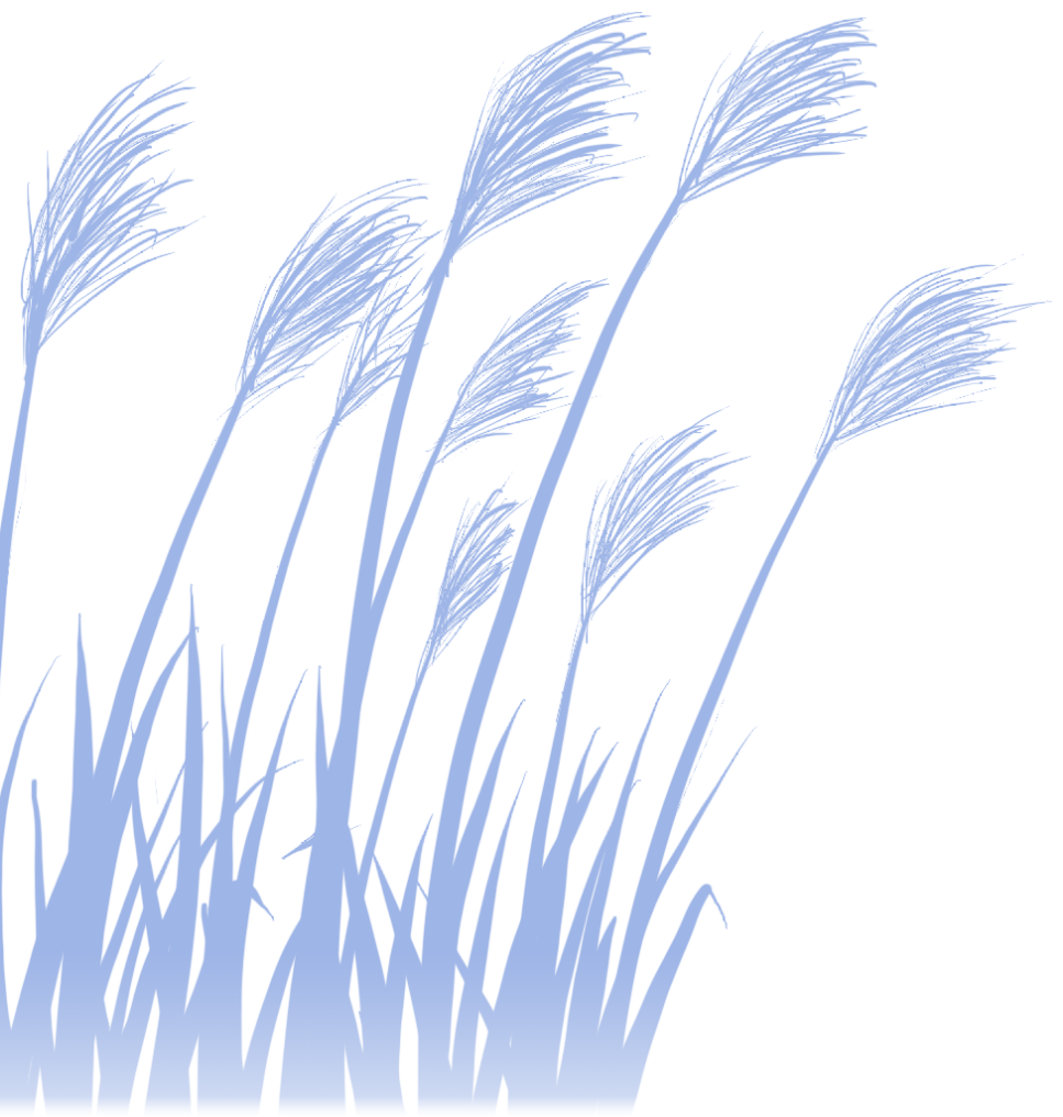 142609po14lvp1vzb5f5za.png