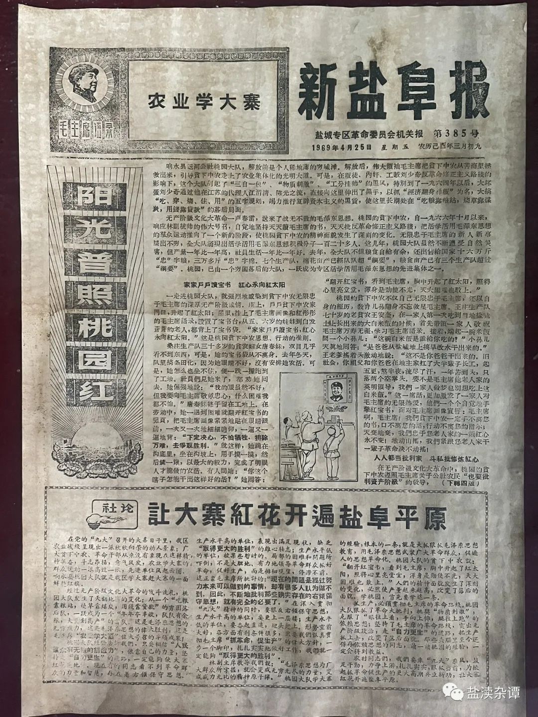 195703jh34gx6guog4x66j.jpeg