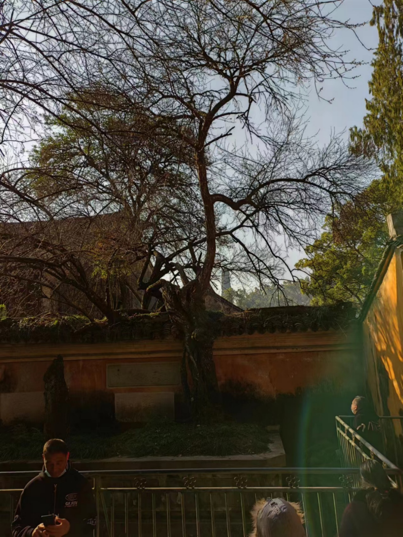 104348nuo66i66oguoqiht.png