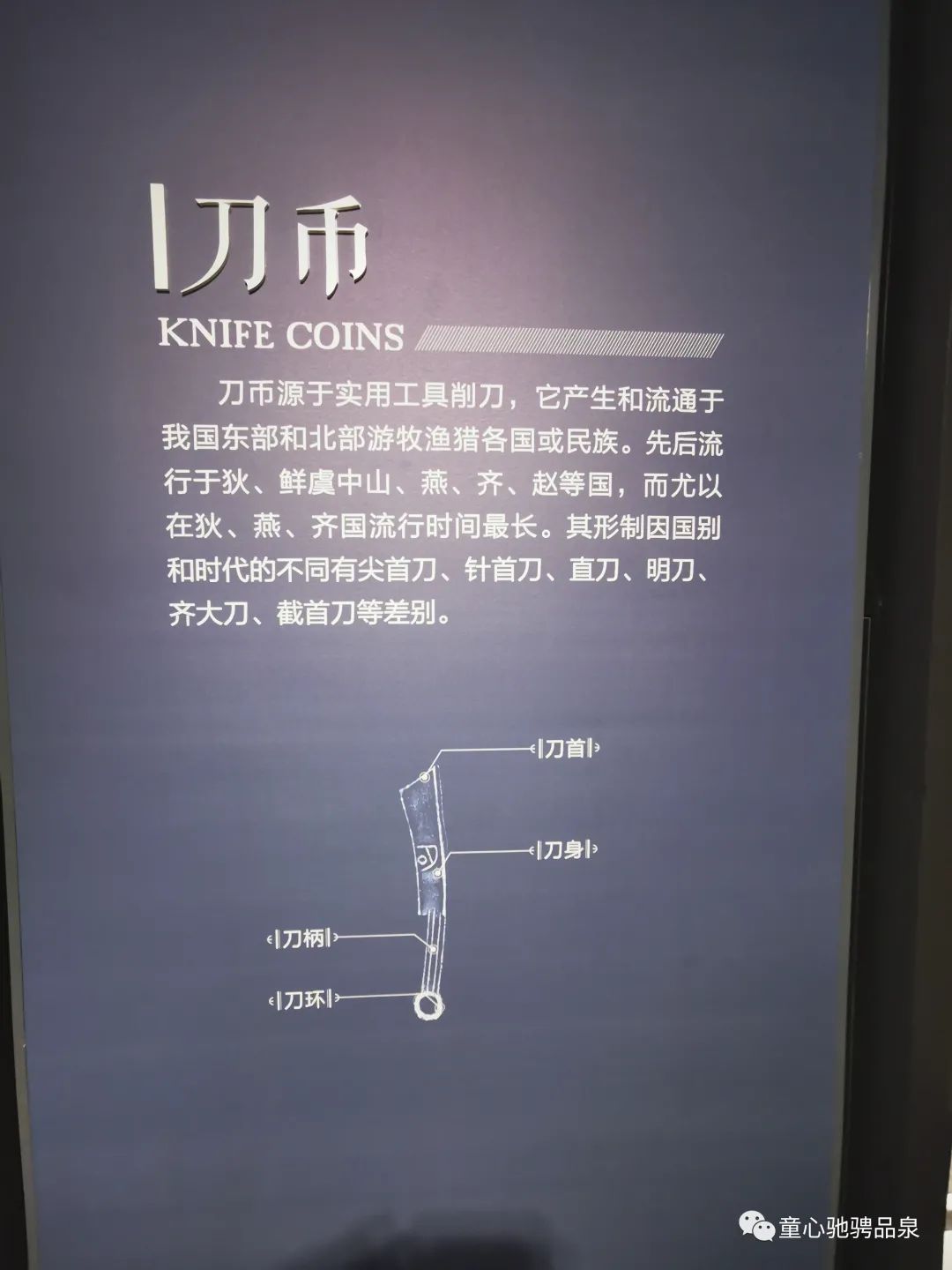 141813ejj88sj4ykscdkzq.jpeg