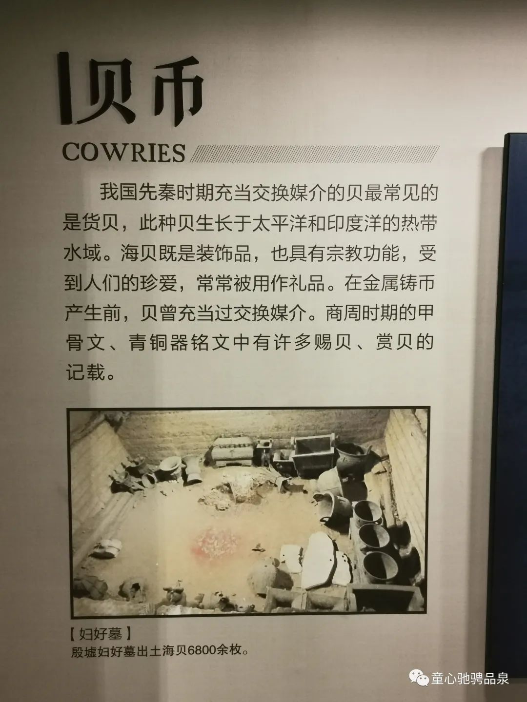 141813ephiqzyvdcdvhvqp.jpeg