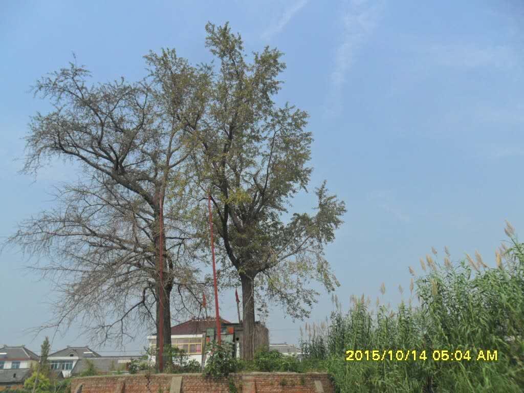 181759d92c2499eos29y96.jpg