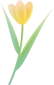 141454z9qaoc7yirkp6hip.png
