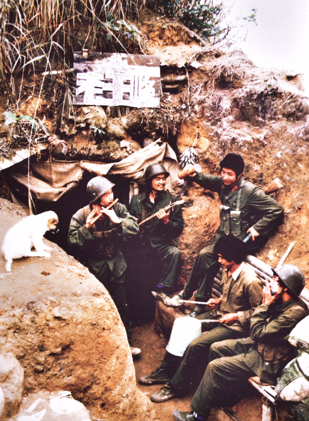 173714qplp5bm7lbnfifb4.png