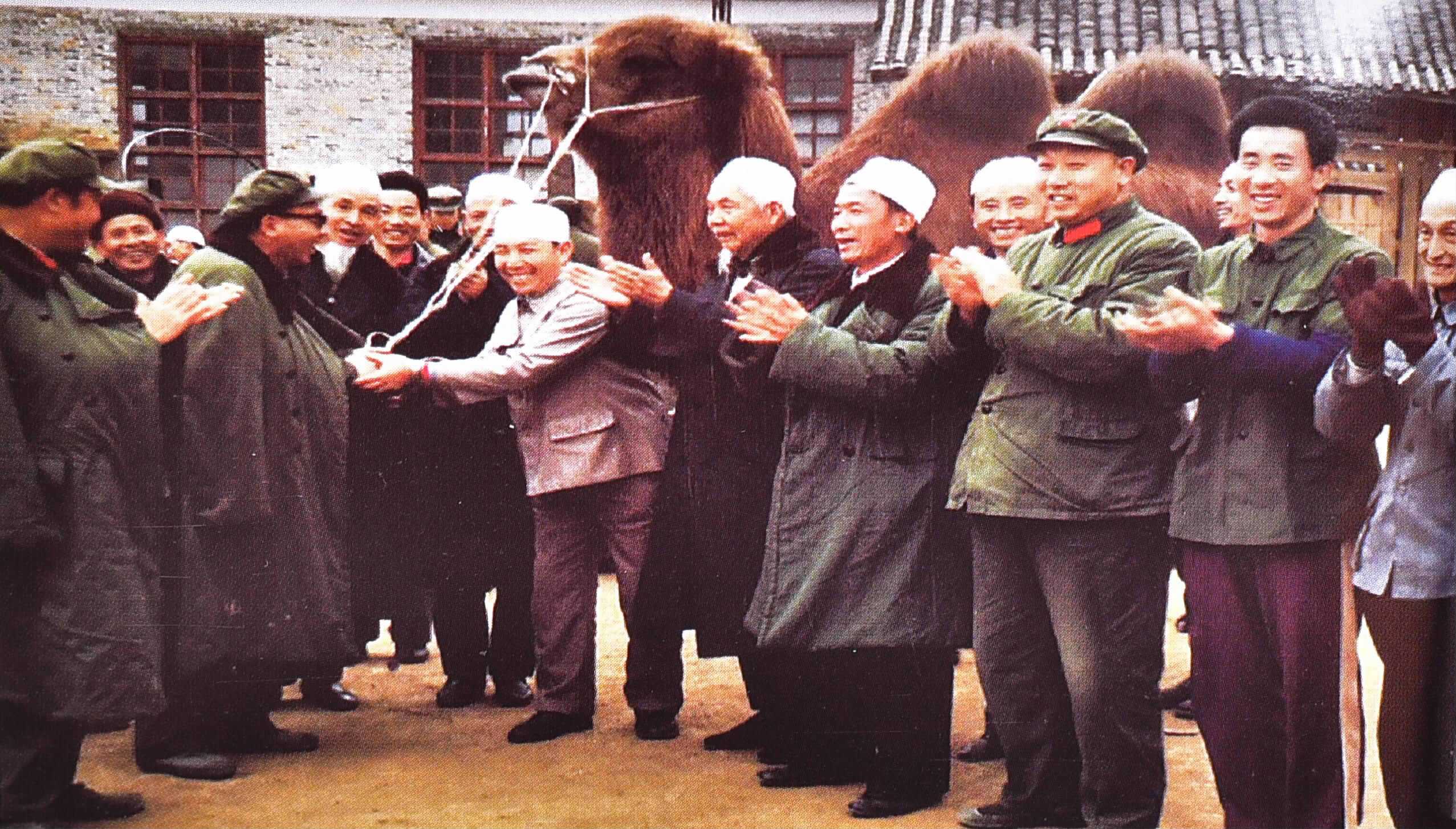 图片.png