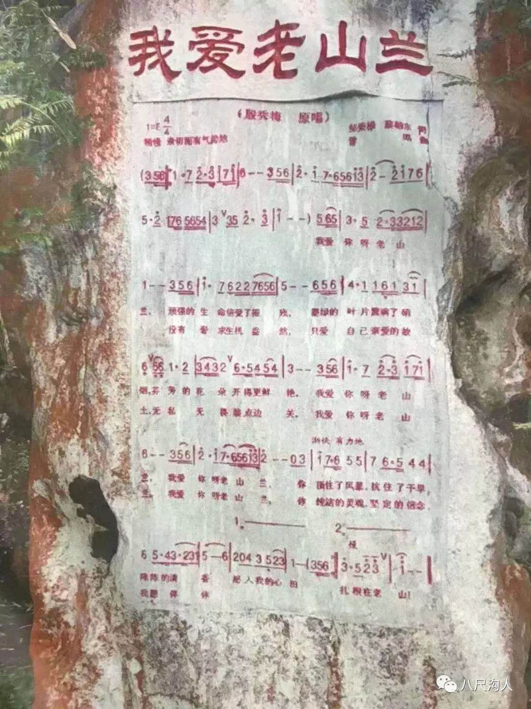 144719l57naak5vyaqyxyc.jpeg