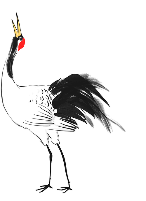 155722lgp491kp1o4ddap4.png