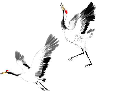 155722vqhkr7zaapp2cprr.png