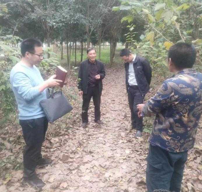 图片12.png