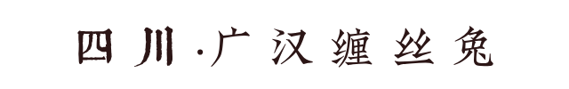 170023icbj8vbcff6z1m55.png