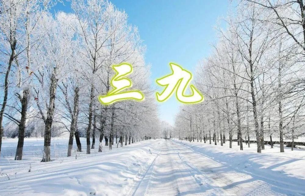 090537yz7p17ju44fqw1uv.png
