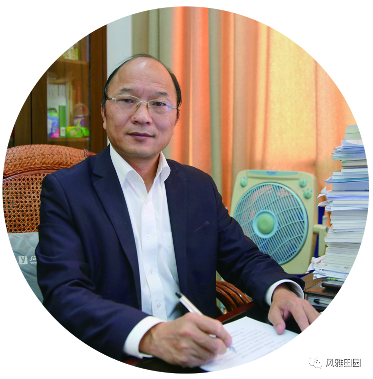 163120cb6dicddg16rsd8t.png