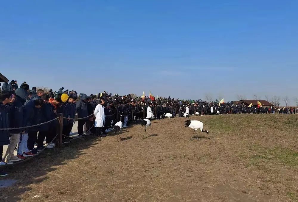 154056rkjeivvlizueauet.jpg