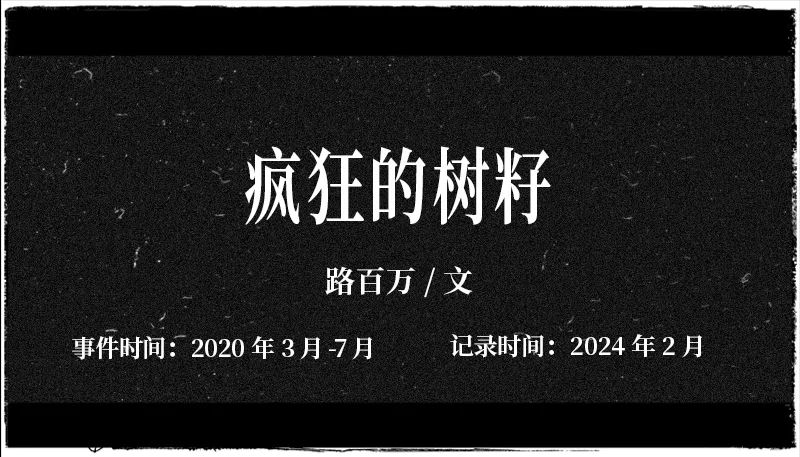 183310sfs6hxh69sy6z2s0.jpeg