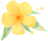 112019al800aznacnccunp.png