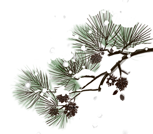 161718a5cv5fz16wlltftw.png