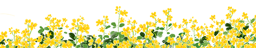 175402t2tb8kn8jjnpjp88.png