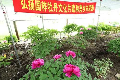 8W9A5633.JPG