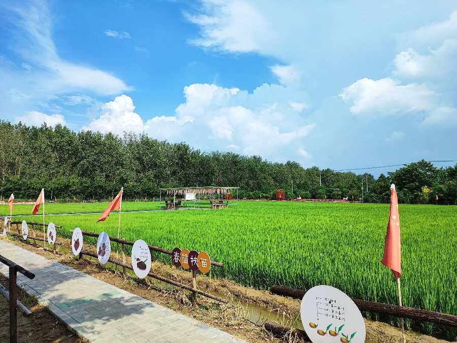 为纪念全国生态日，8月15日下午，盐城市生态环境科学研究会分别在-今日头条_2.jpg