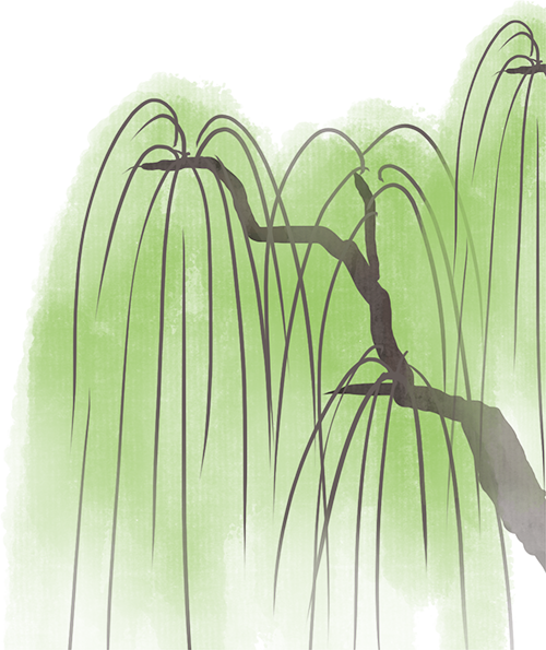 195157vzdjxx9zd6h679ri.png