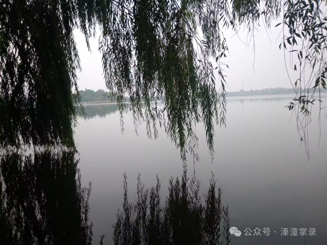 171910g4vcbz3vls0ycjk4.png