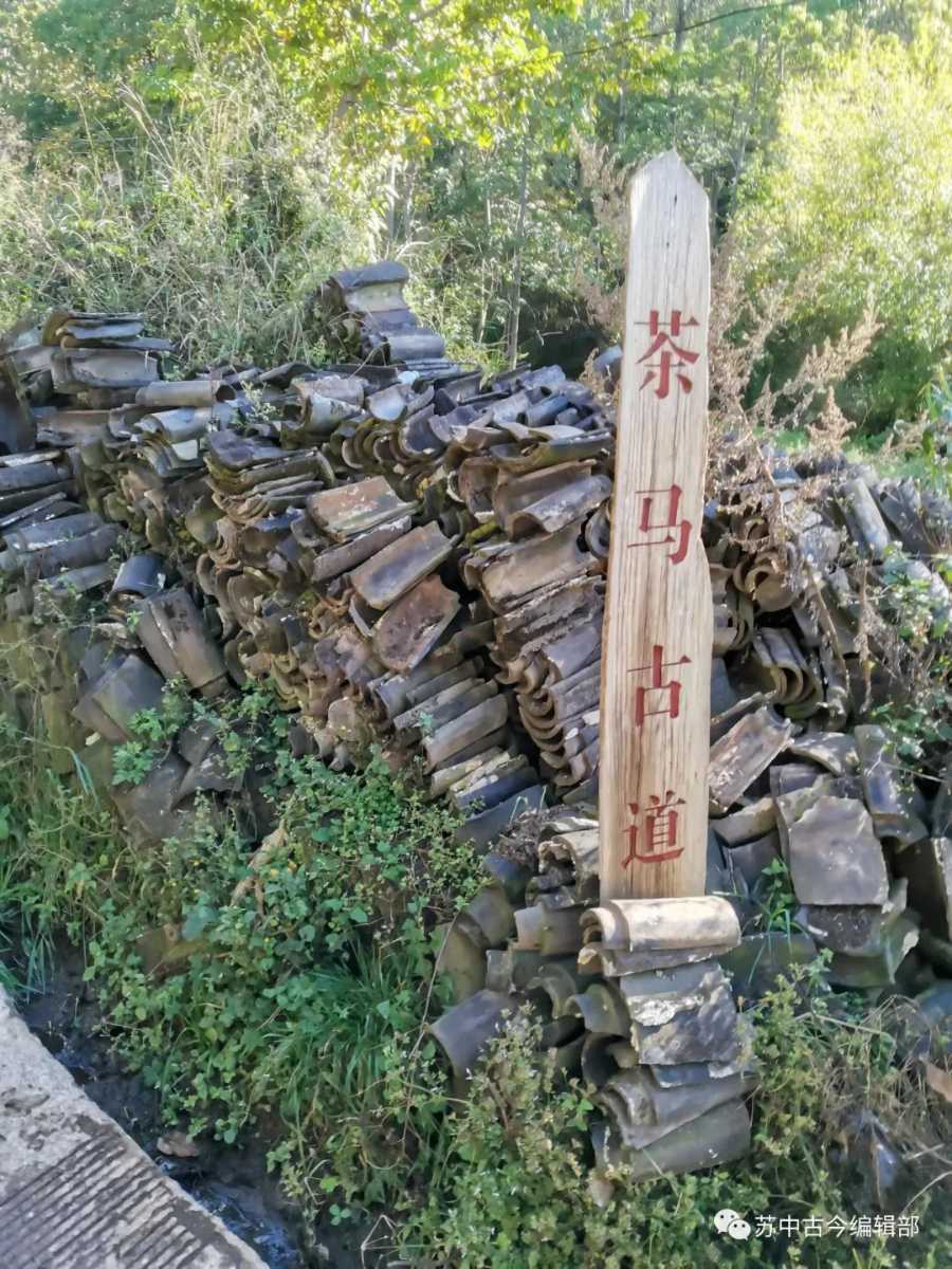 夏俊山：骑马走上茶马古道.jpg