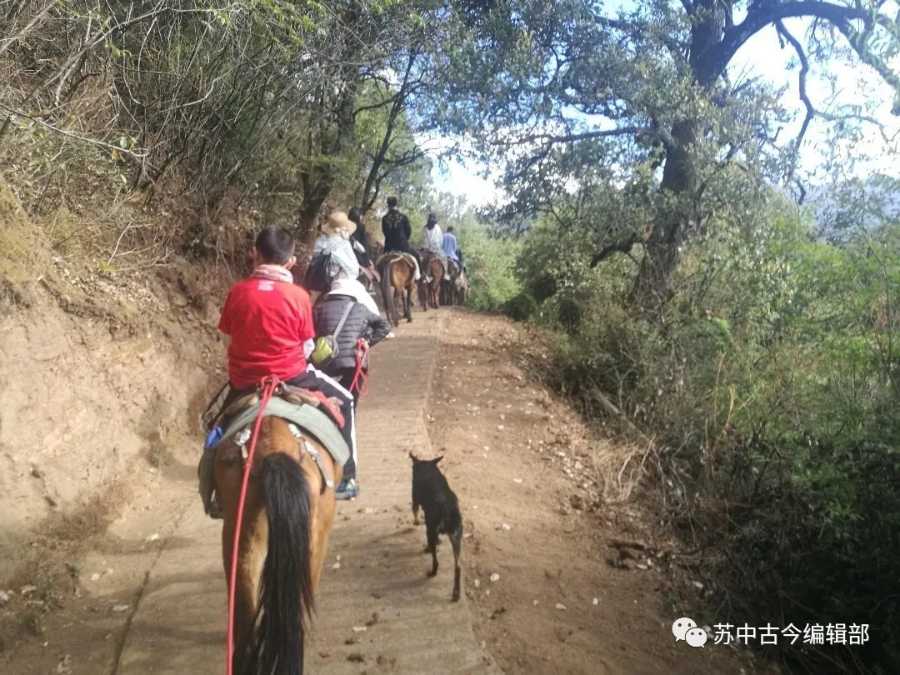 夏俊山：骑马走上茶马古道_2.jpg