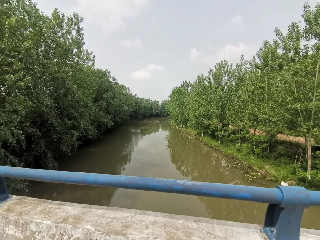 160458toi4876i7h464117.jpeg