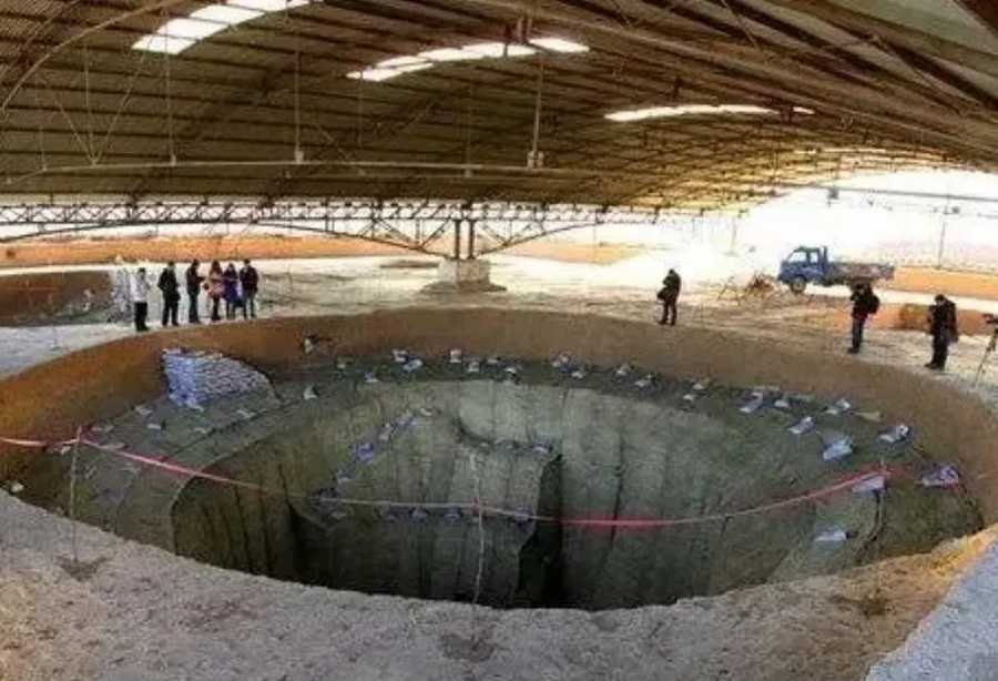 洛阳发现1000年前粮仓，60多万斤稻谷完好如初，专家将谷粒带回种植，三天后大吃一惊.jpg