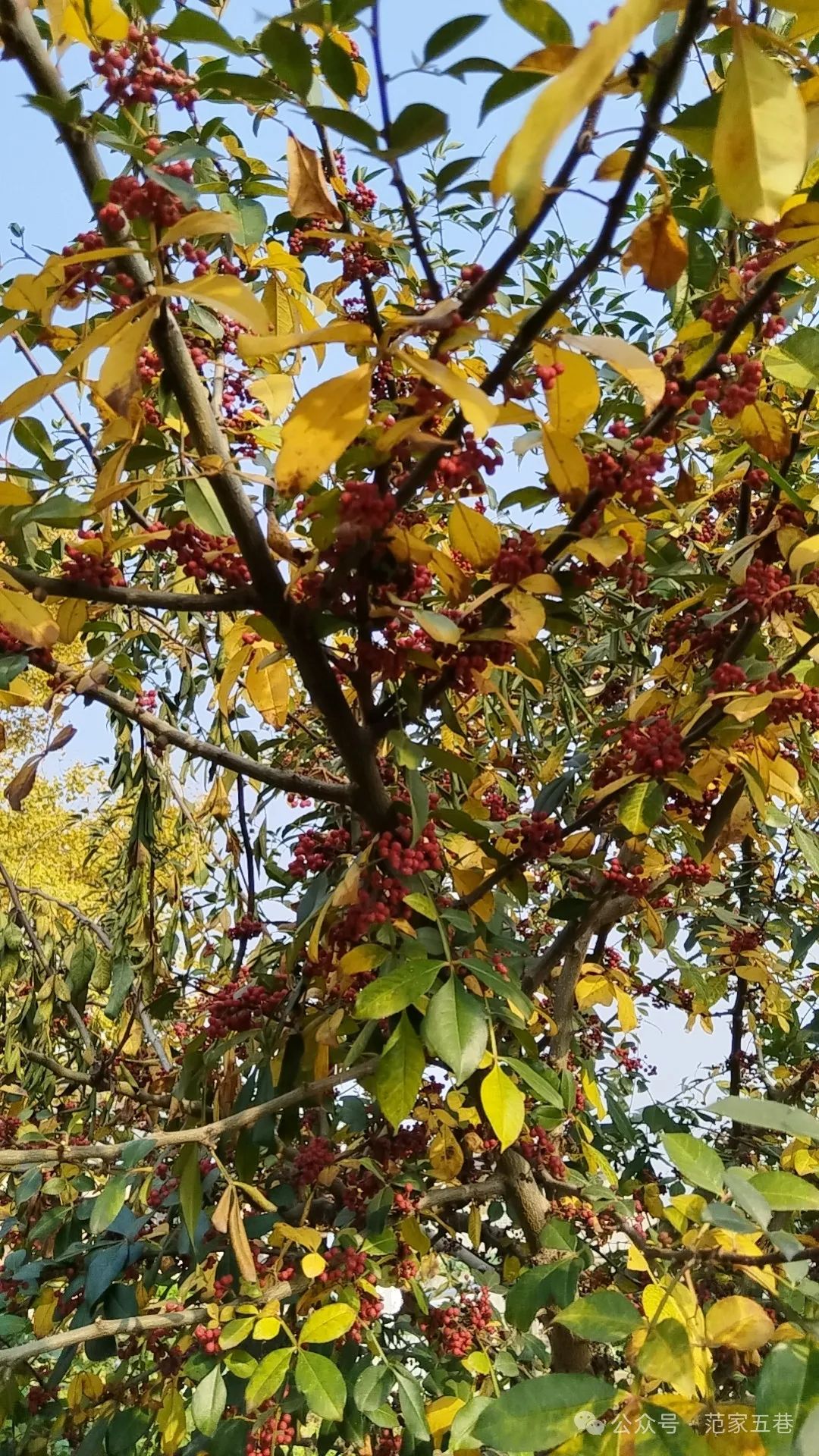 171040nchjouhouubzo1cj.jpeg