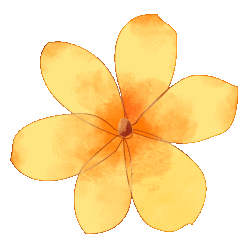 104253rnm1a32bt88qmojj.gif