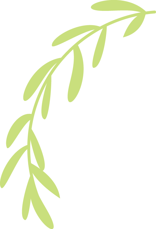 162654ayfbs4xxgaexsan6.png