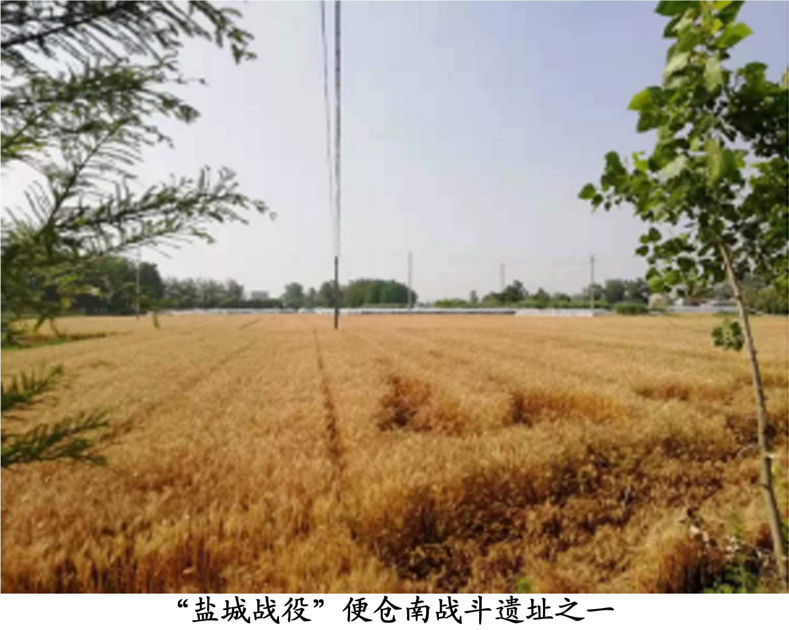 图片11.png