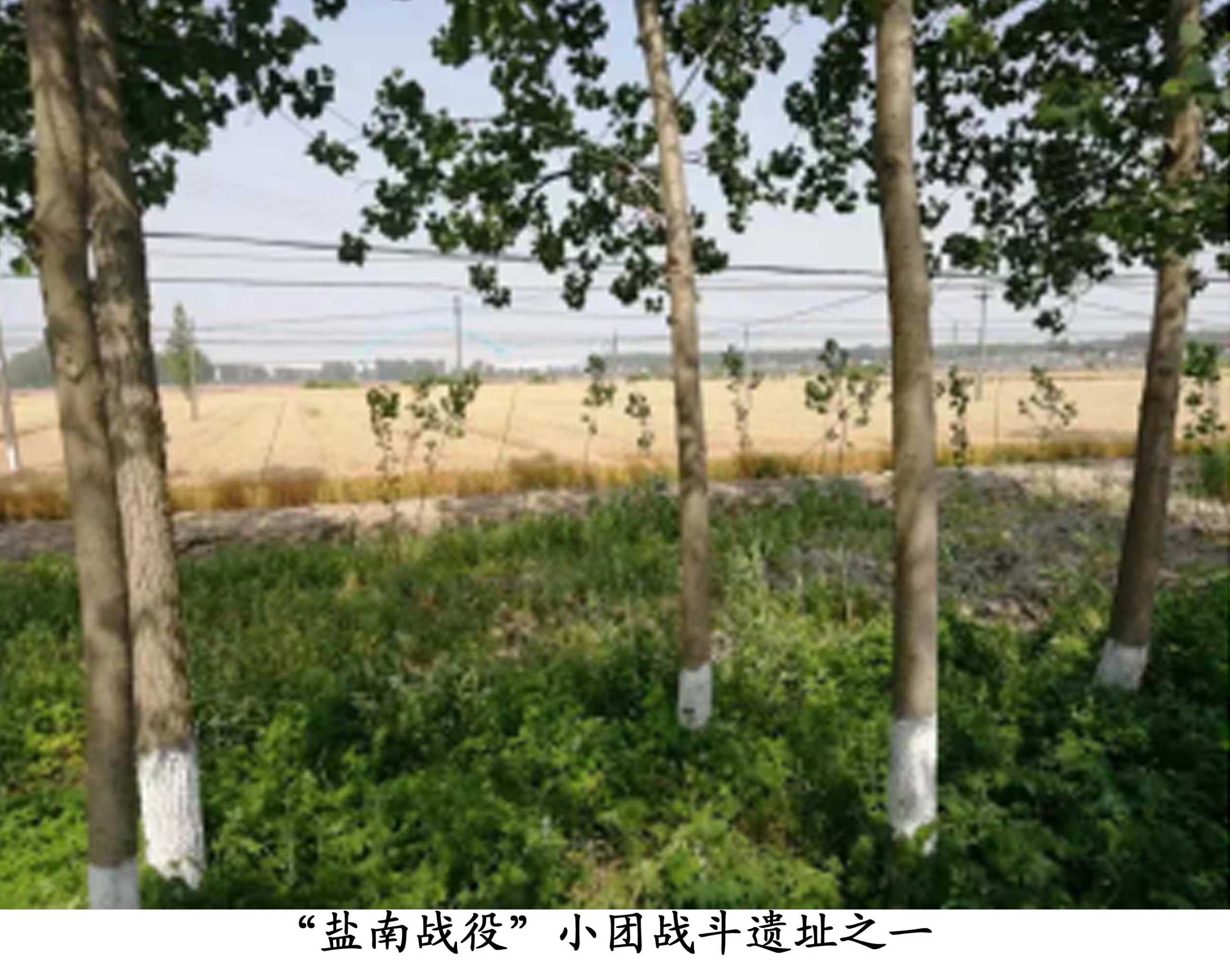 图片17.png