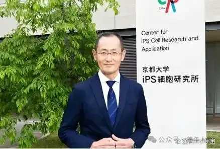 生命的韵律：在流动中抵达永恒_4.jpg
