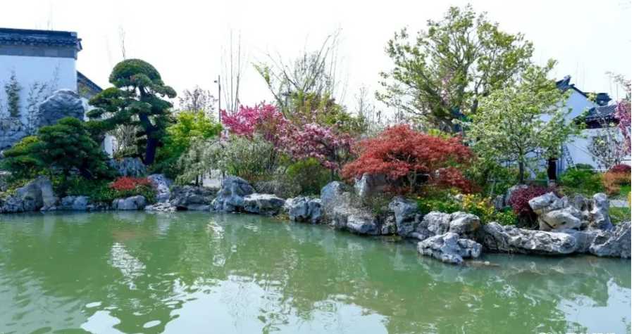 “满街棠树有遗风——盐城海棠园怀古忆旧笔记之一｜相鸿：四月盐城尽花园　海棠盛宴忆汝珍_8.jpg