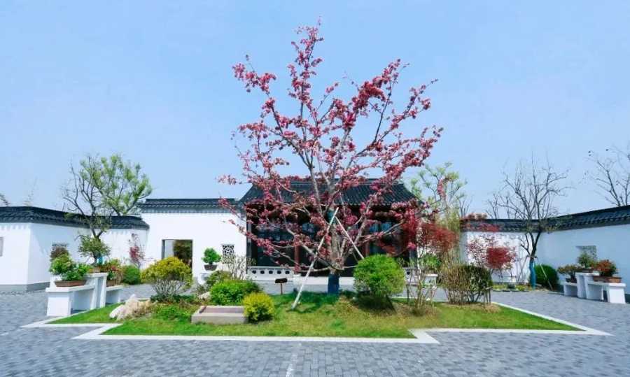 “满街棠树有遗风——盐城海棠园怀古忆旧笔记之一｜相鸿：四月盐城尽花园　海棠盛宴忆汝珍_14.jpg