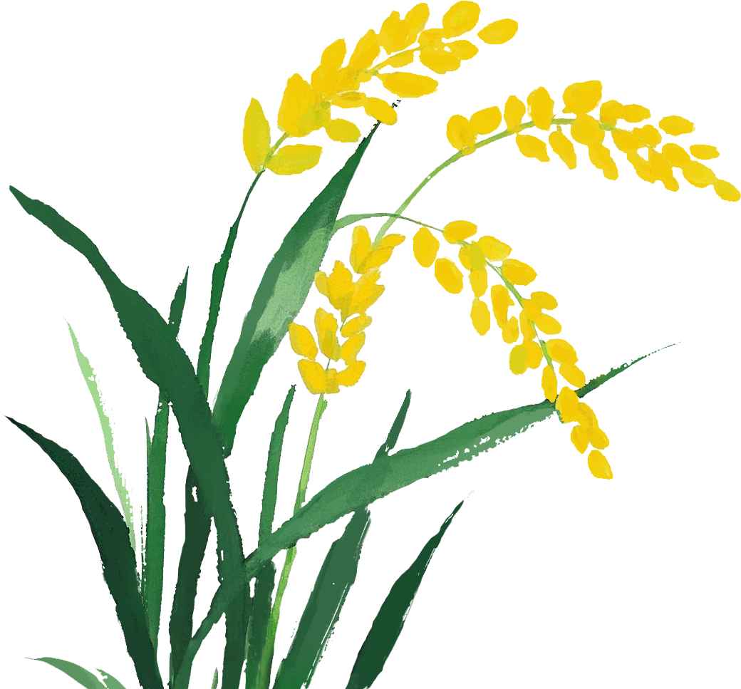 175942lchjr4rir8eefs1t.png